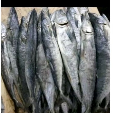ikan asin tenggiri/bk