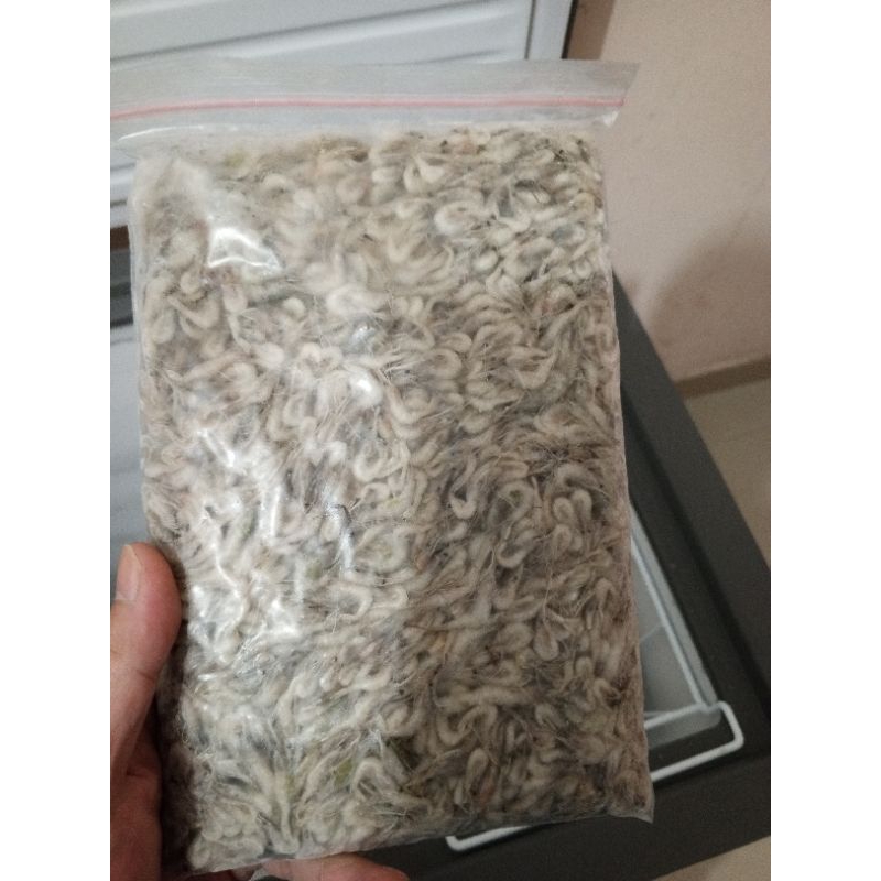 

udang sawah beku fresh pakan predator per kilo