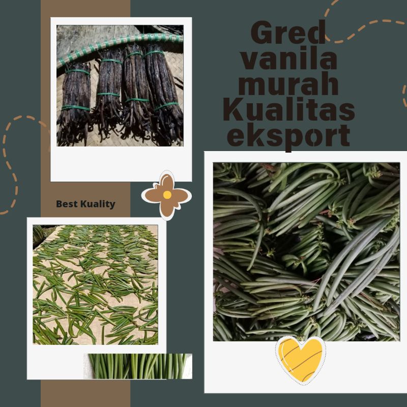 

Grade Panili Kualitas Fresh premium 150k/500 gr Garansi uang kembali jika produk