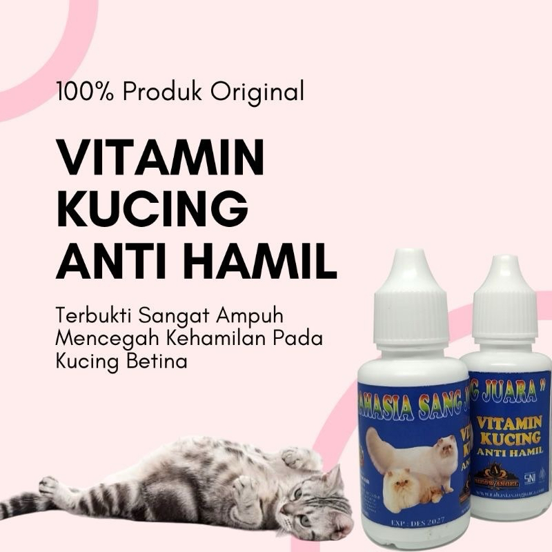 Anti hamil kucing - vitamin anti hamil kucing
