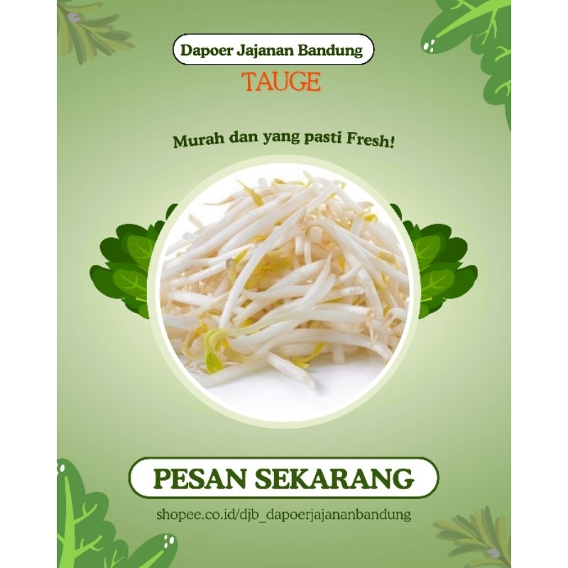 

[ DJB JASTIP ] TAUGE Rp. 6.000