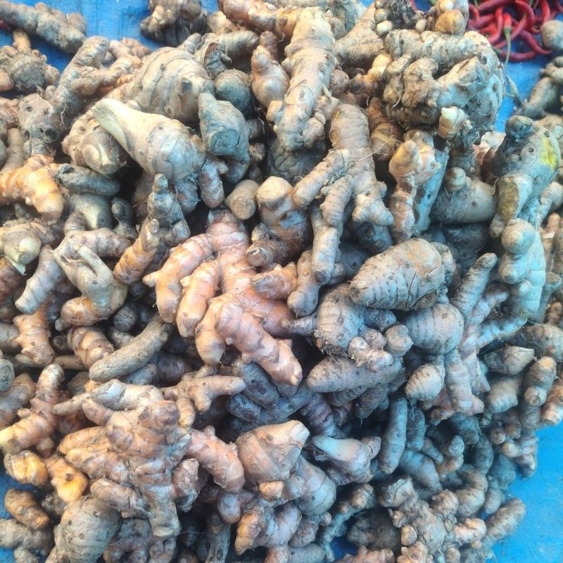 

kunyit asli