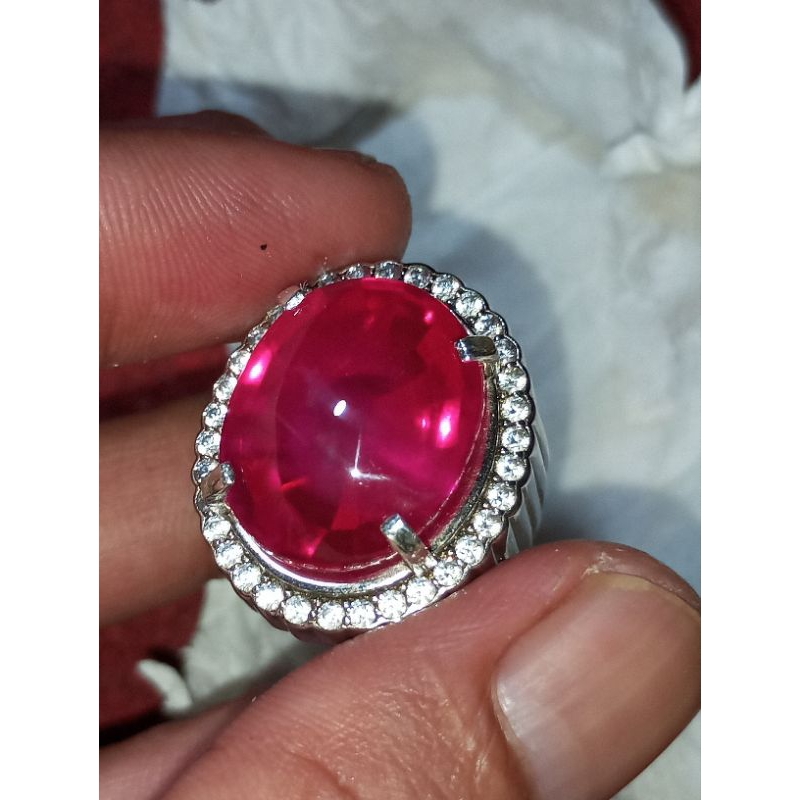 siem kapas jumbo merah segar