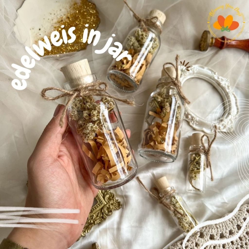 edelweiss in jar bunga edelweiss in bottle Edelweis  Bottle Bunga Edelweis Kering dalam Botol Edelwe