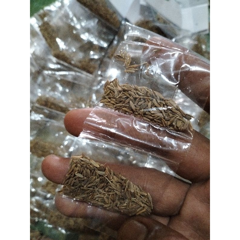 

JINTEN renceng isi 10