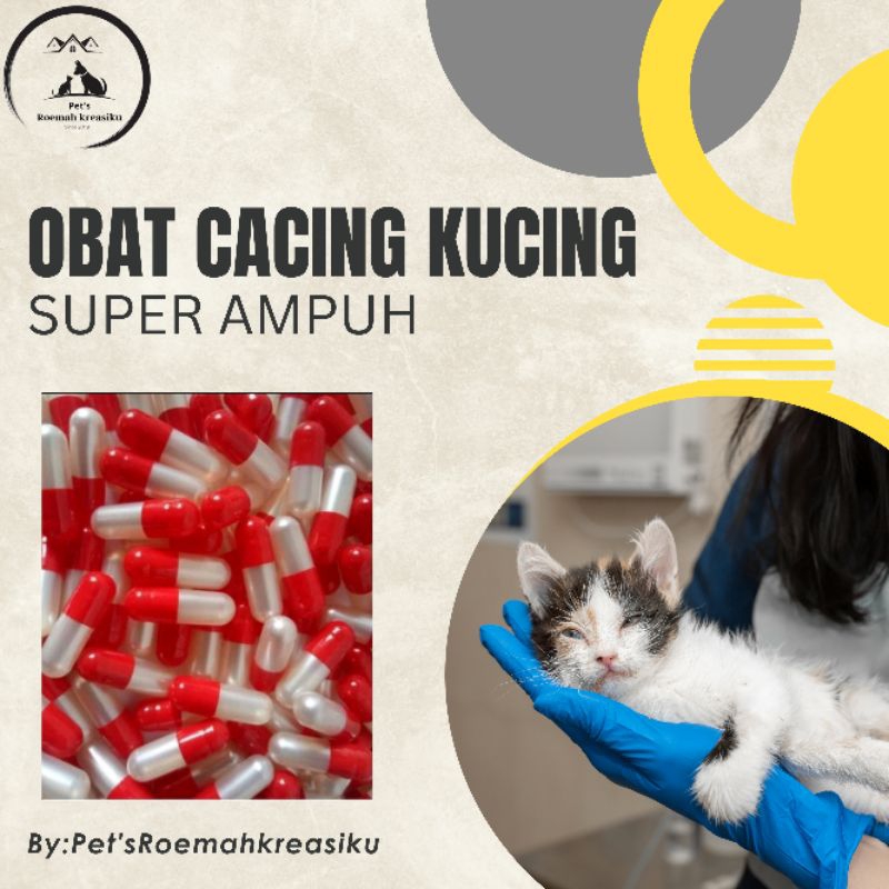 obat cacing kucing super ampuh#obat cacing kucing dewasa dan kitten#obat cacing kucing mujarab