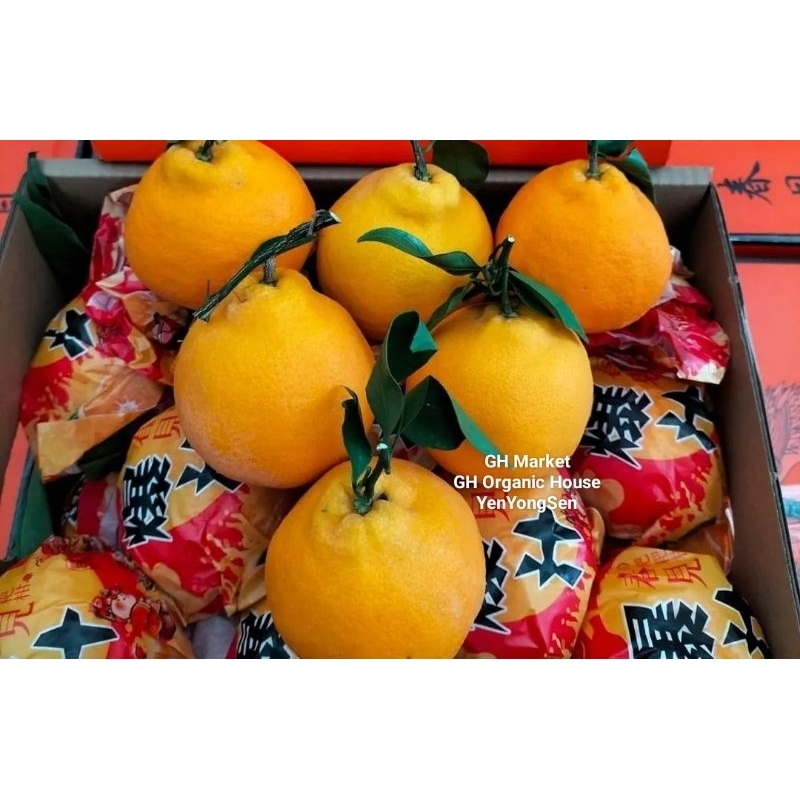 

Jeruk Papagan 1 Kg Fresh Import Segar Jeruk Imlek Papa Gan Fruit