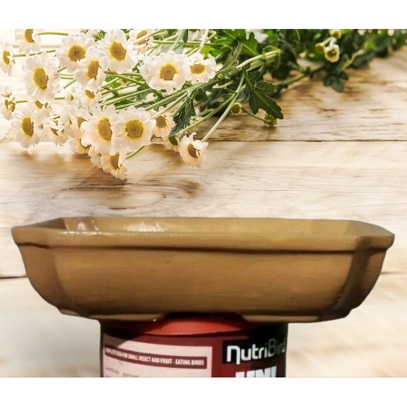 Cetakan Pot Bonsai Mame material fiber