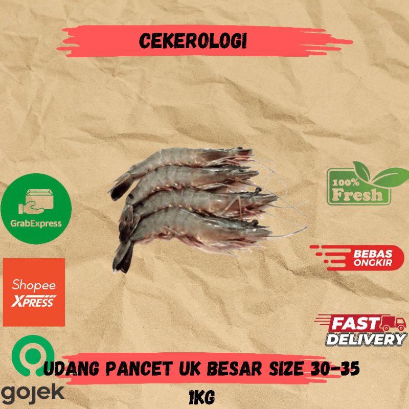 

Udang Pancet Uk Besar Size 30-35 1kg / Udang Pancet Besar / Udang Windu Besar / Udang Pancet Besar Fresh Berkualitas / JABODETABEK / Udang / Seafood Segar / Seafood