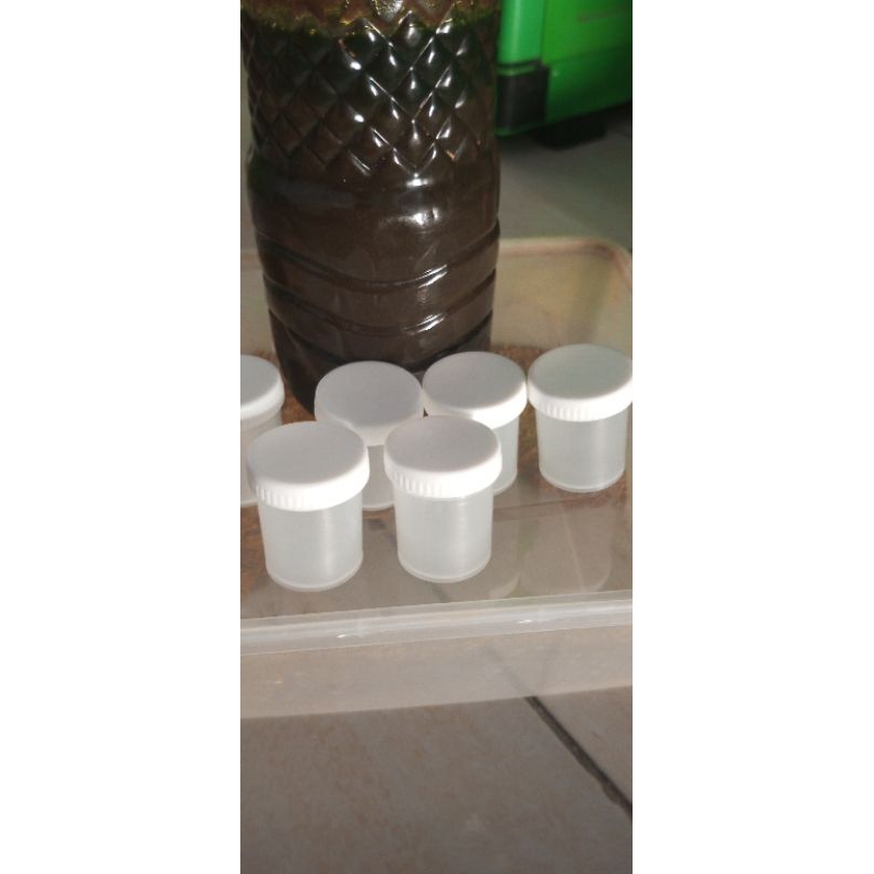 

Toko Jamu MujarabBerat bersih 50 gram