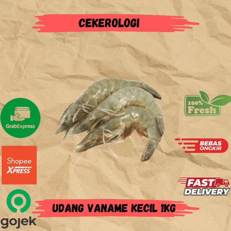 

Udang Vaname Kecil 1kg / Udang Vaname Kecil / Udang Vaname / Udang Vaname Kecil Fresh Berkualitas / JABODETABEK / Seafood Segar / Seafood