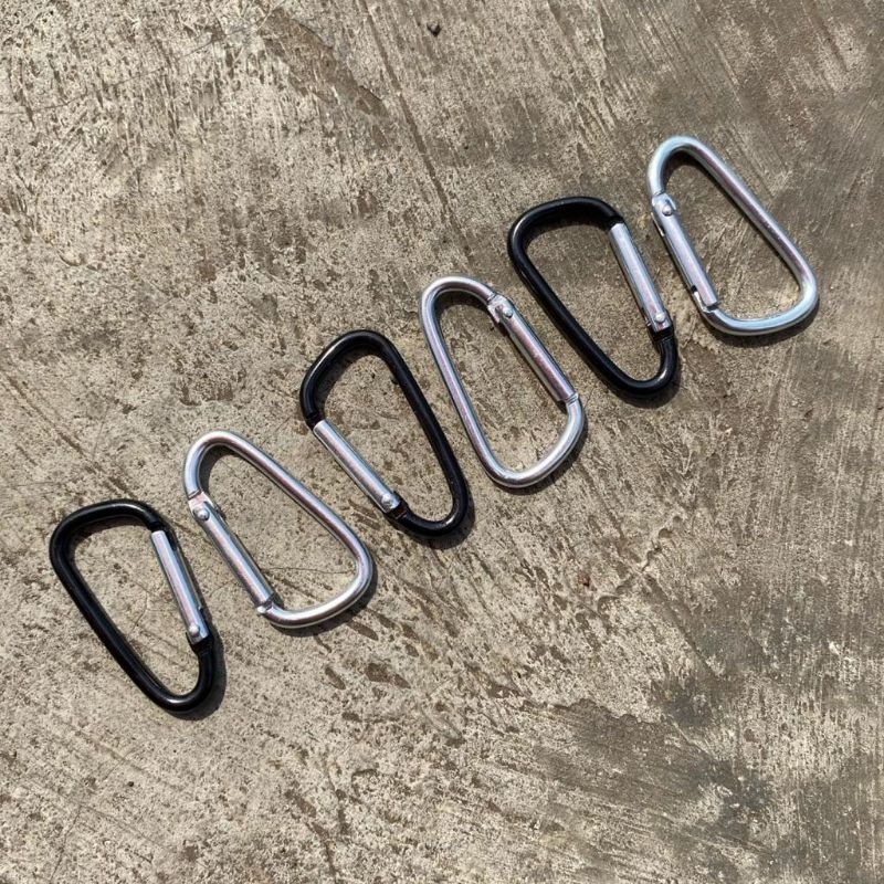 carabiner mini