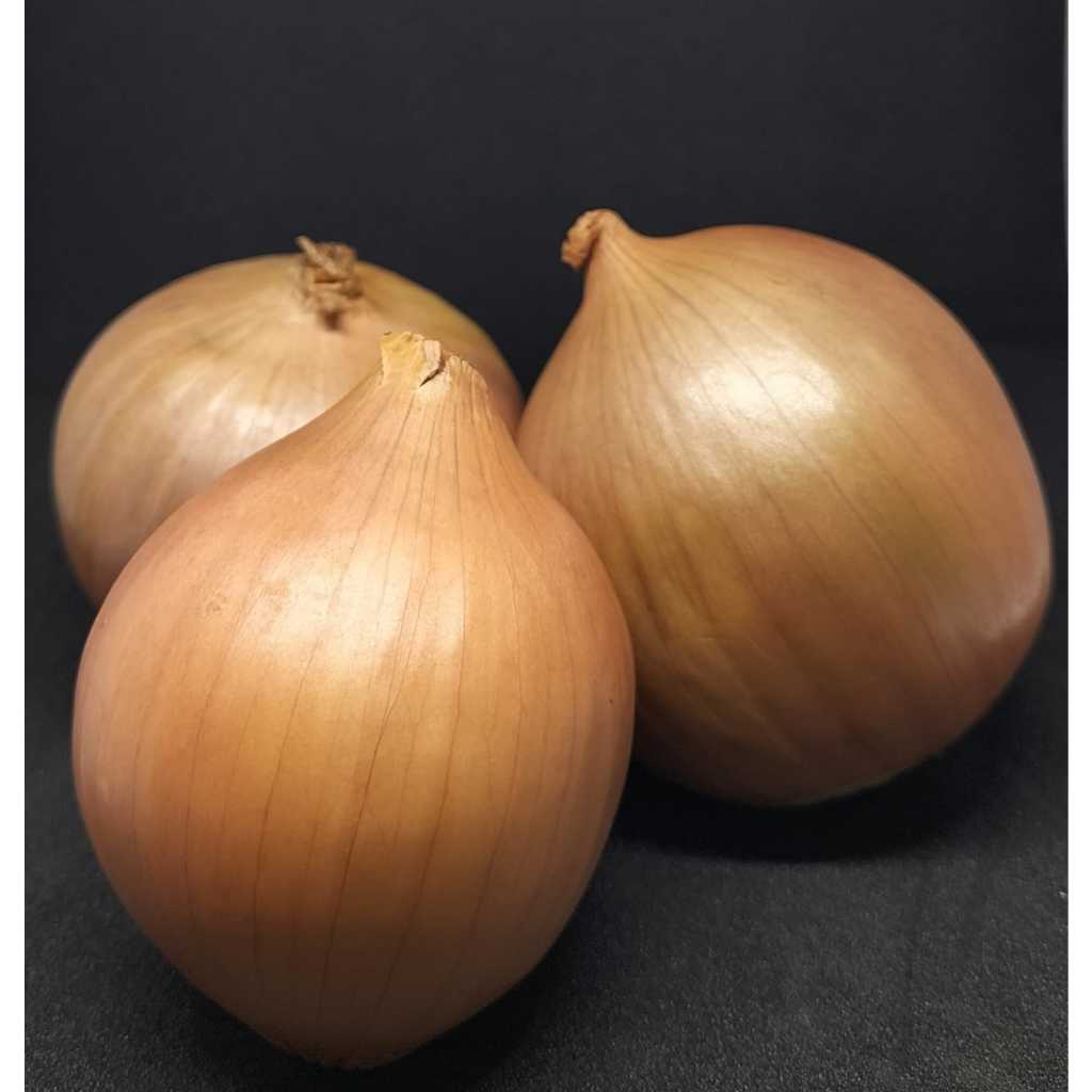 

BAWANG BOMBAY 1 kg