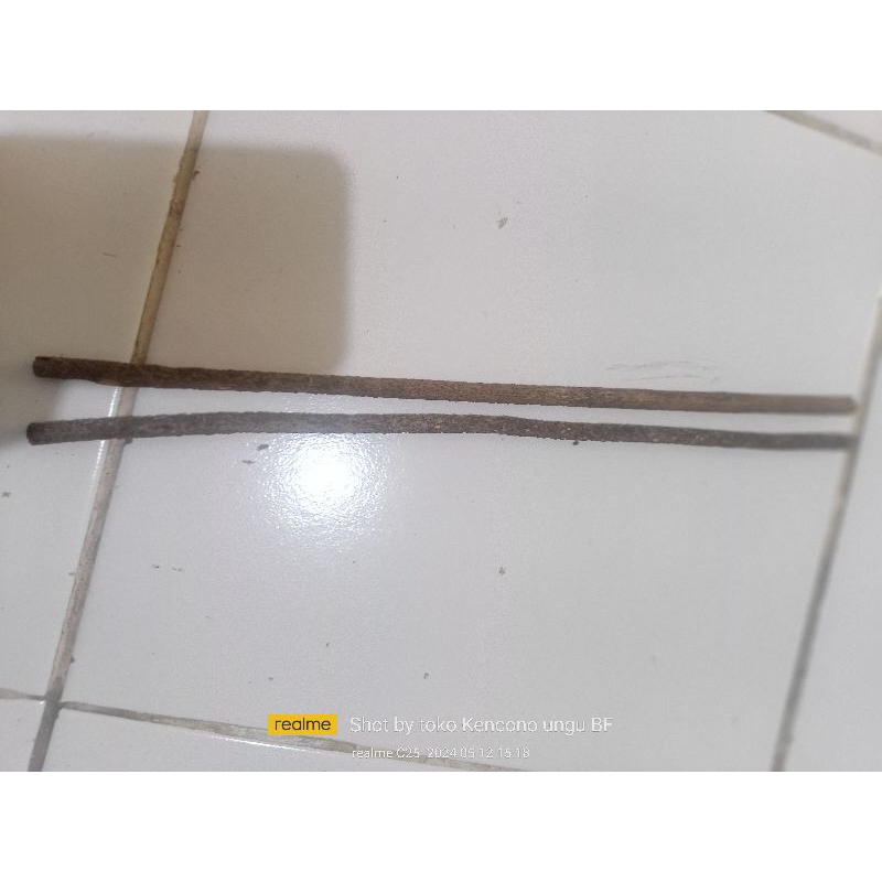 tangringan asem Bali konin pleci untuk sangkar lb