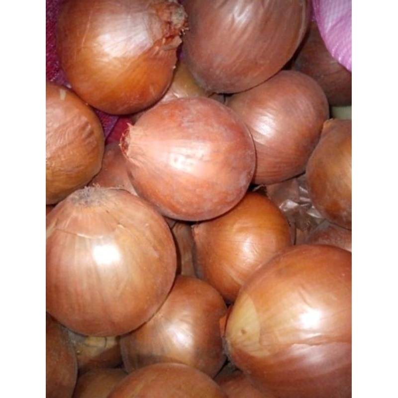 

bawang bombay