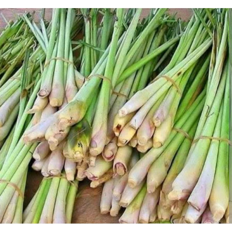 

Sere, Serai Segar 1 kG