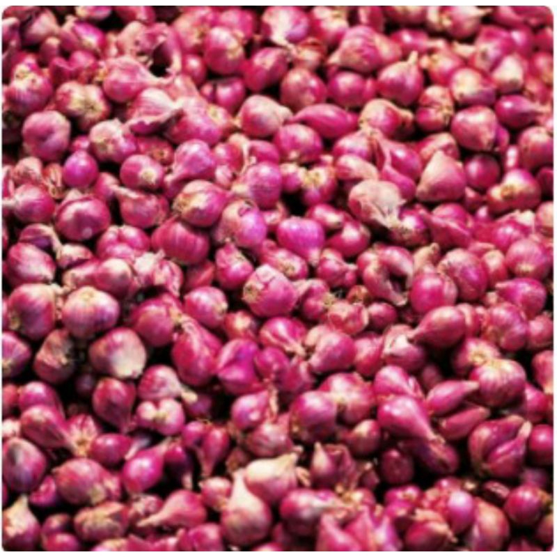 

Bawang super (500 ON)bawang Padang rasa nya gurih banget bawang pilihan no 1
