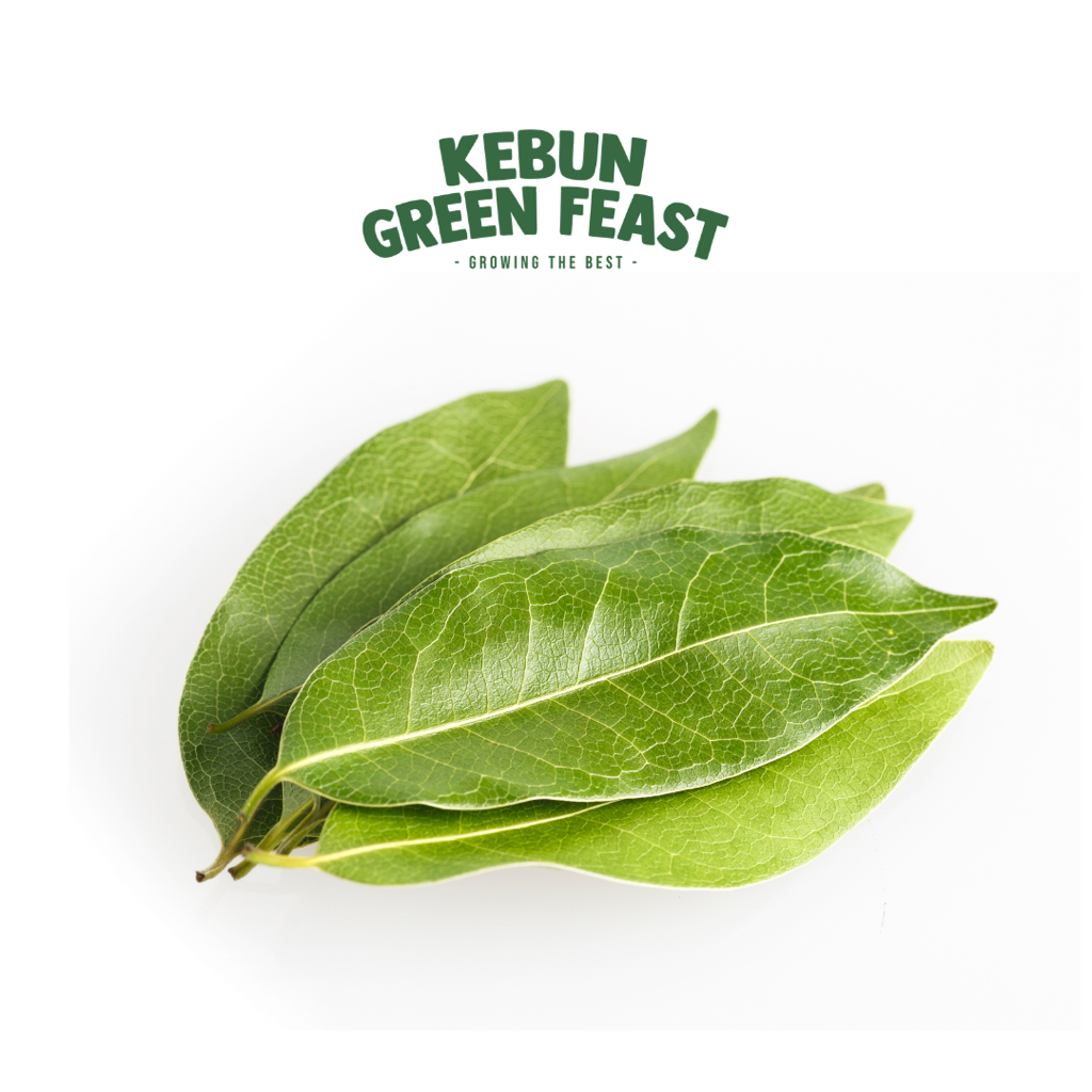 

Daun Salam