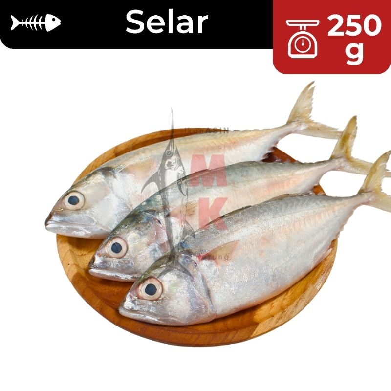 

250g Ikan Asin Selar SUPER / Ikan Asin Catok / Ikan Asin Amping / Ikan Asin Murah / Ikan Asin Enak