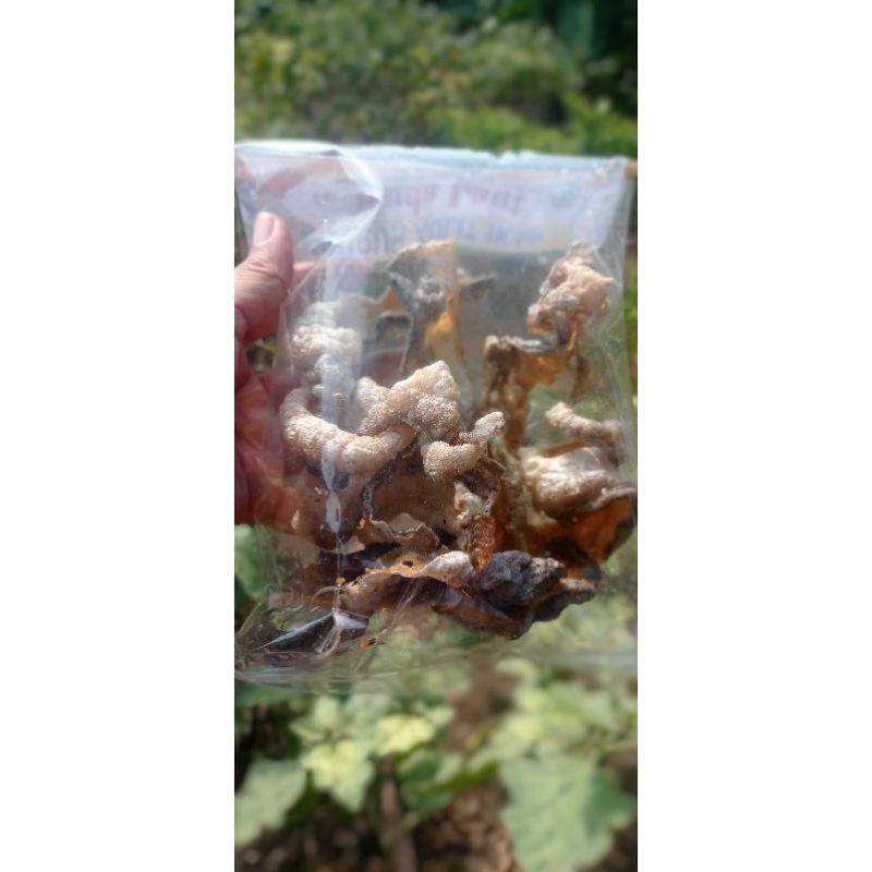 

KULIT IKAN ASLI OLEH-OLEH KHAS INDRAMAYU