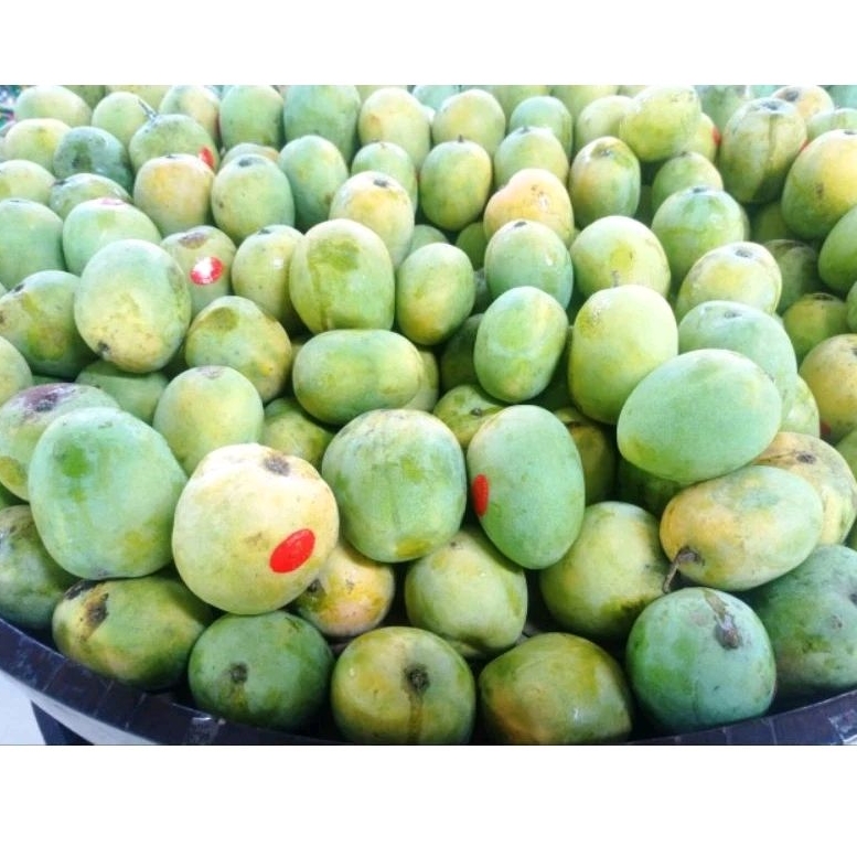 

BUAH MANGGA GEDONG FRESH 1 KG