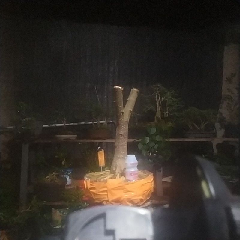 anput bahanan prokar