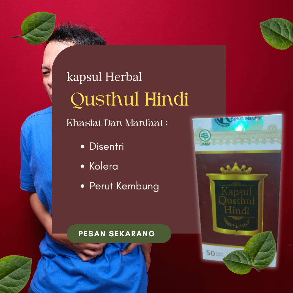 

Kapsul herbal qusthul hindi untuk masalah pencernaan