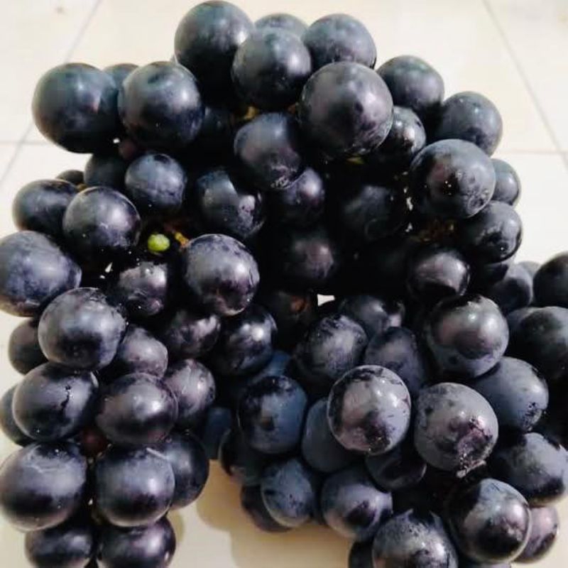 

[PALEMBANG] BUAH ANGGUR HTM 500GR - SAYUR BUAH IKAN SEGAR ONLINE