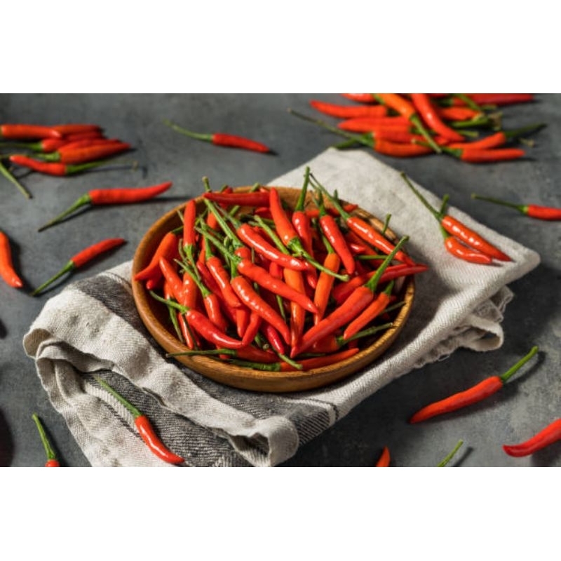 

CABE MERAH SEGAR