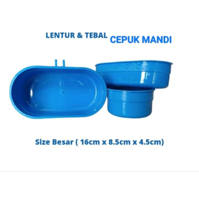 cepuk mandi,cepuk pakan ayam