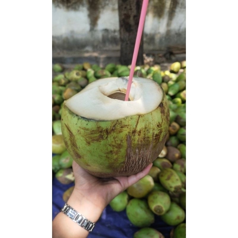 

KELAPA MUDA FRESH MANIS BESAR HARGA PER 1PCS