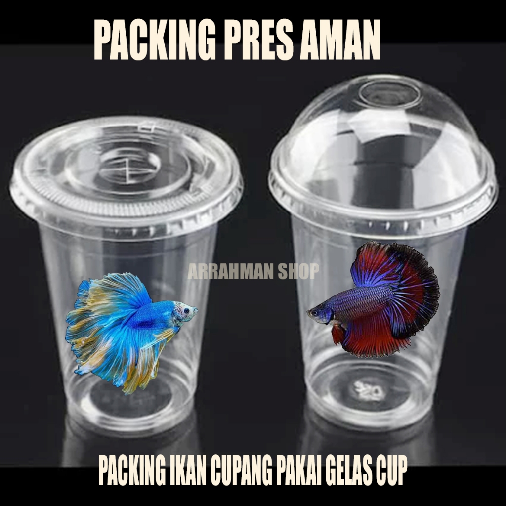 

packing kardus kusus cupang gelas cup presan - packing peking paking ikan cupang gelas cup + kardus