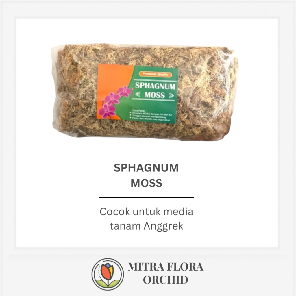 Sphagnum Moss Premium | Media Tanam Anggrek