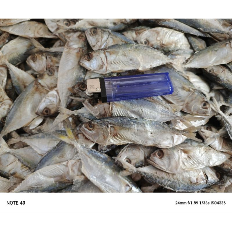 

ikan asin kembung 250 gram