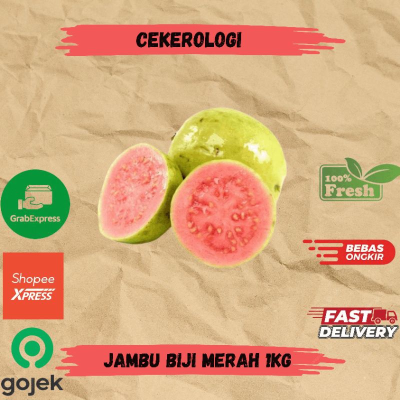 

Jambu Biji Merah 1kg / Buah Jambu Biji Merah / Jambu Biji Merah / Jambu Biji Merah Fresh Berkualitas / Jambu Biji / JABODETABEK / Buah Jambu / Buah / Buah Buahan