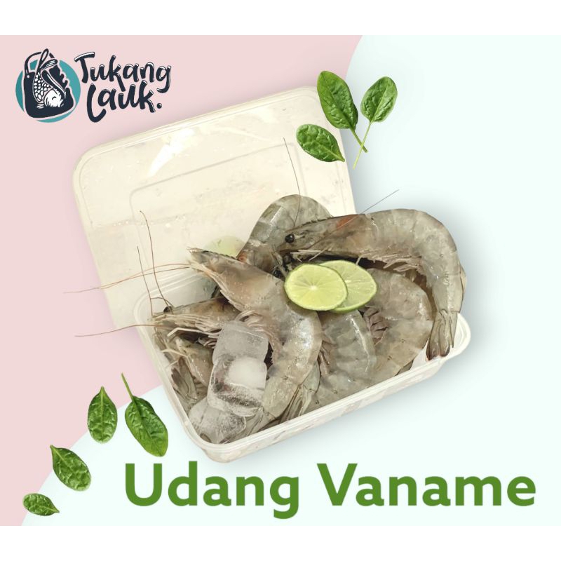 

Udang Vaname 500 gram