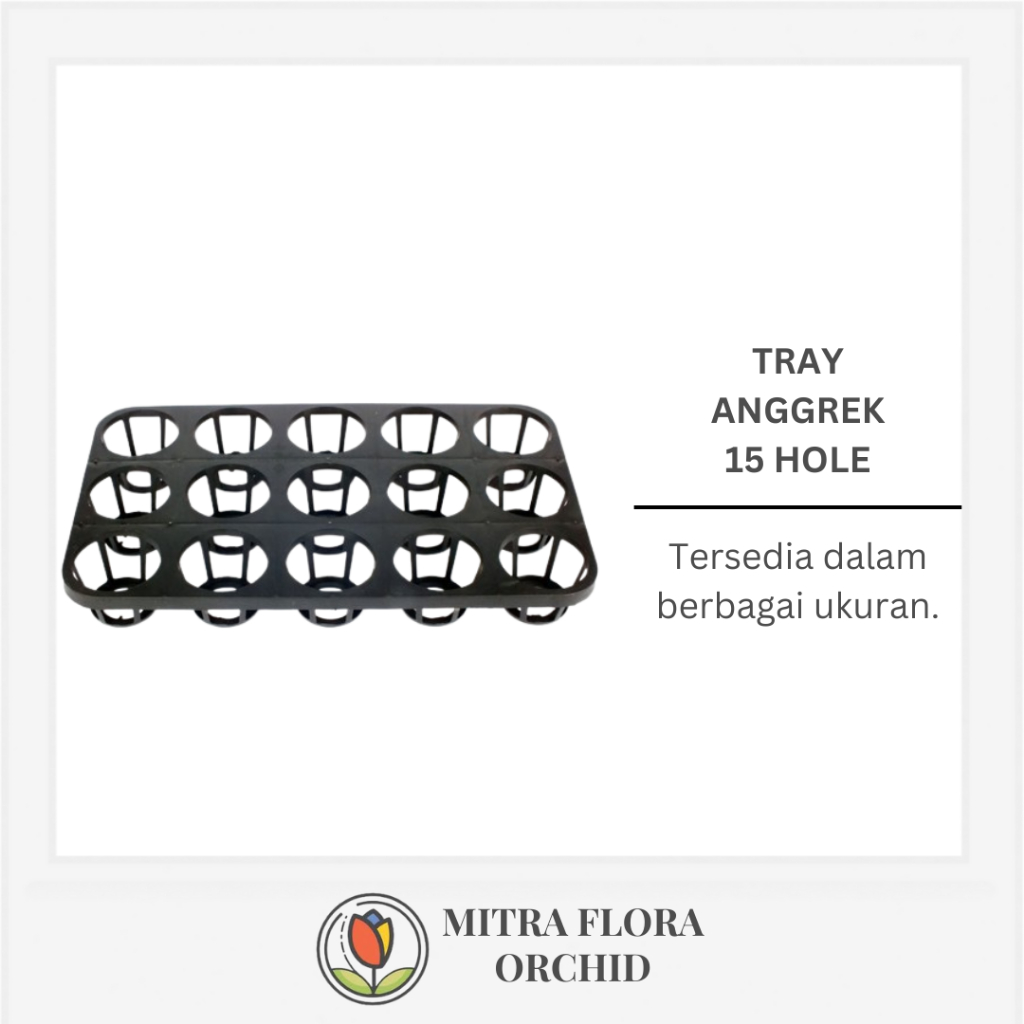 Tray Anggrek 15 Lubang