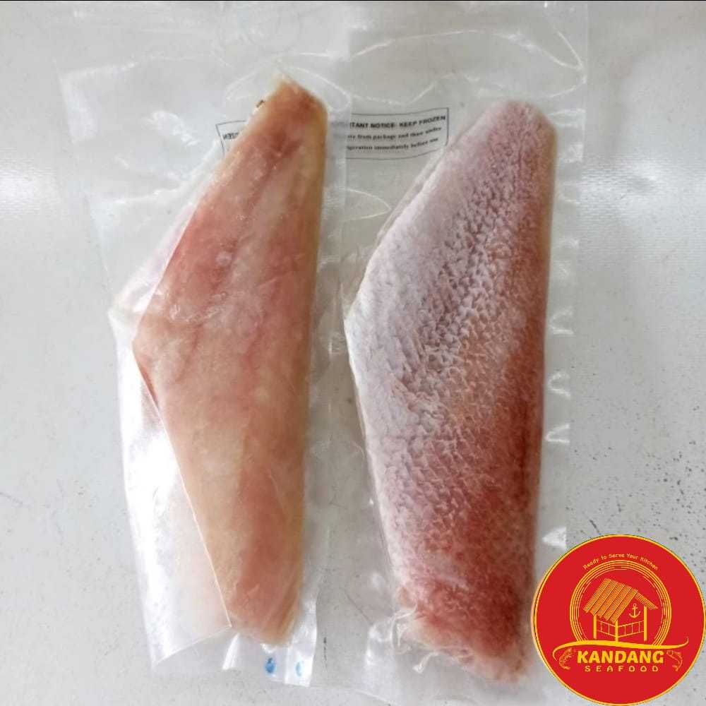 

Ikan Kakap Merah Fillet Premium / Red Snapper / Frozen Fresh