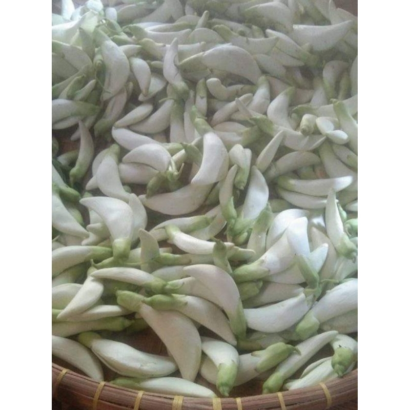 

Kembang Turi sayuran 500 gram