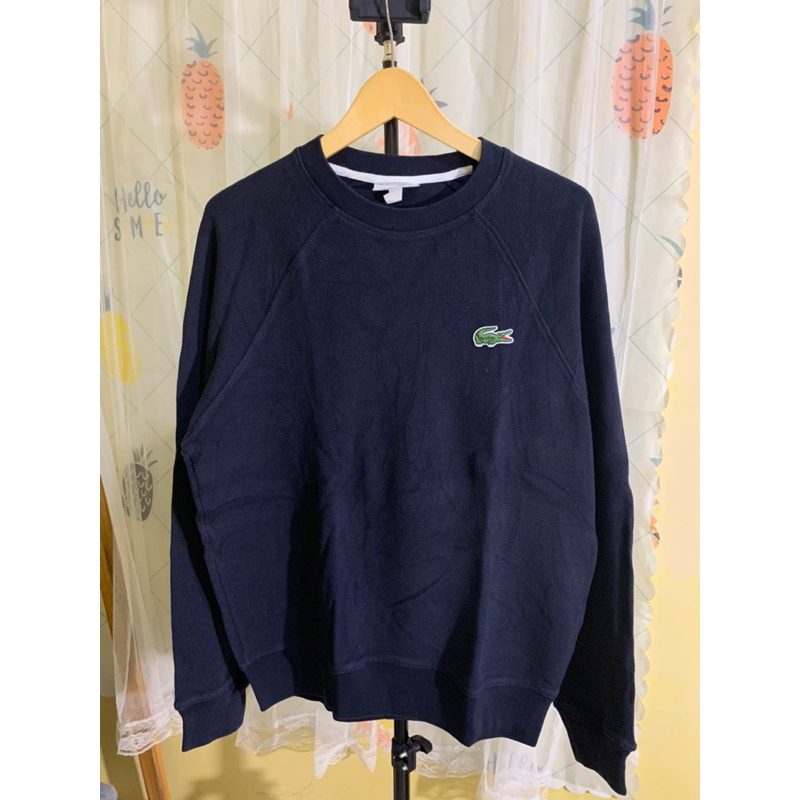 Sweater Rajut LACOSTE Original