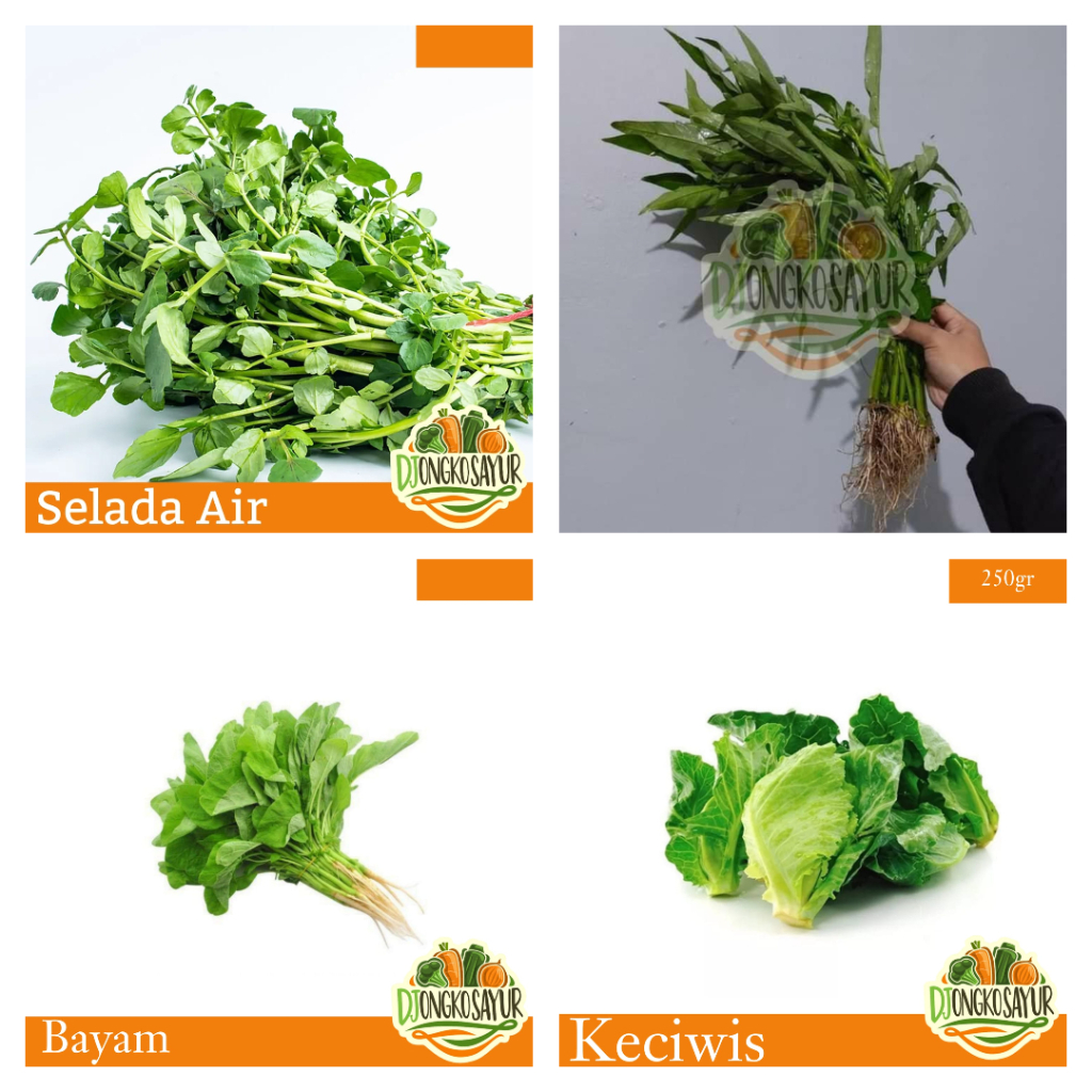 

Kangkung / Selada Air / Bayam / Keciwis