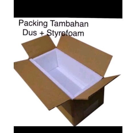 

packing tambahan sterofoam