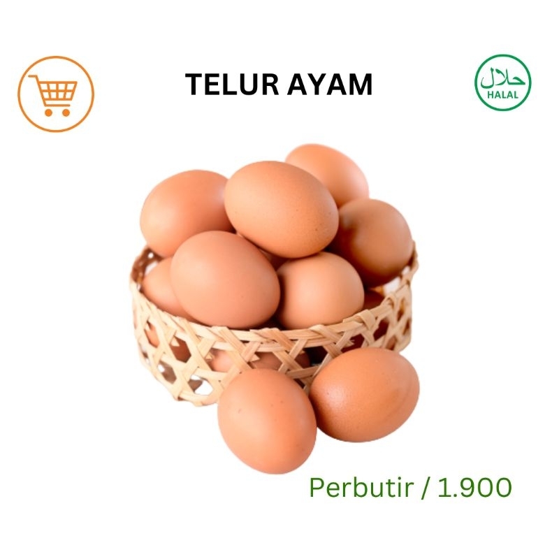 

Telur ayam perbutir, telur ayam eropa murah