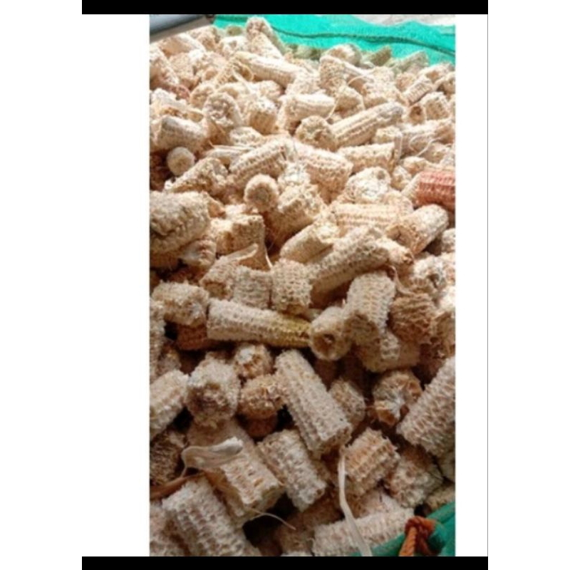 Tongkol Jagung 1Kg#.BONGGOL JANGGEL JAGUNG Kering Limbah Jagung