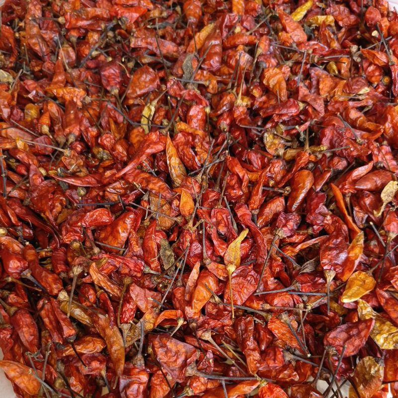

Cabai Kering Lokal 1 kg/500g/ 250gr / asli dari petani
