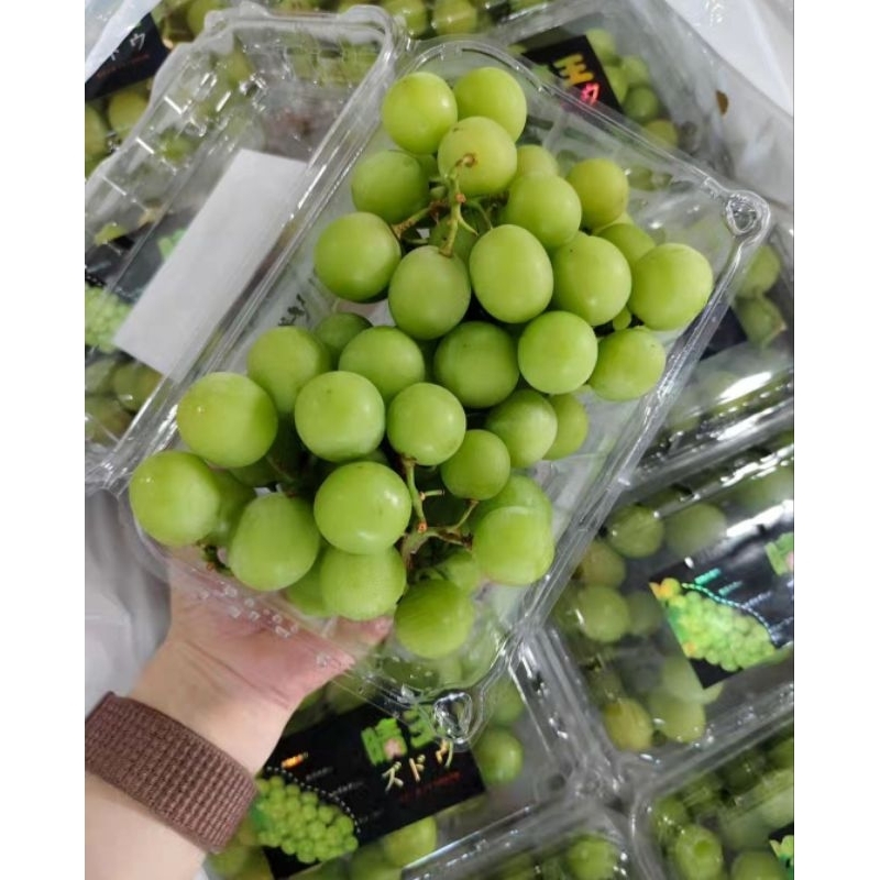 

Anggur Shine Muscat 500 gr