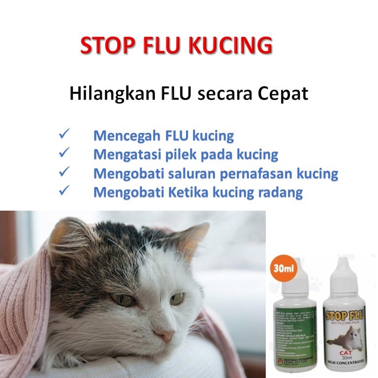 stop flu kucing / vitamin kucing flu dan daya tahan tubuh / vitamin kucing flu dan batuk