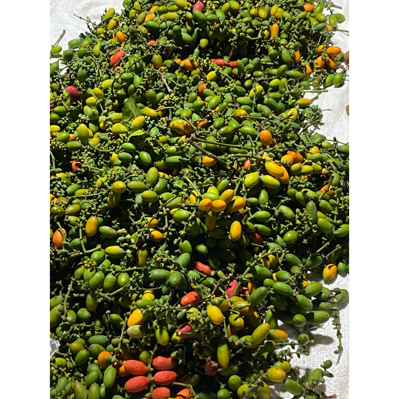 

Buah tangkil 250gram