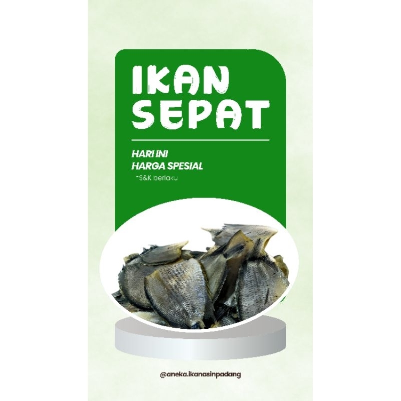 

IKAN SEPAT 100gram/pack
