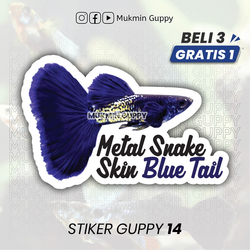 

Stiker Guppy (16) Metal Snake Skin Blue Tail